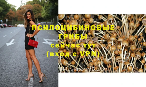 герыч Бородино