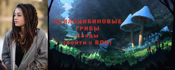 марки lsd Богородицк