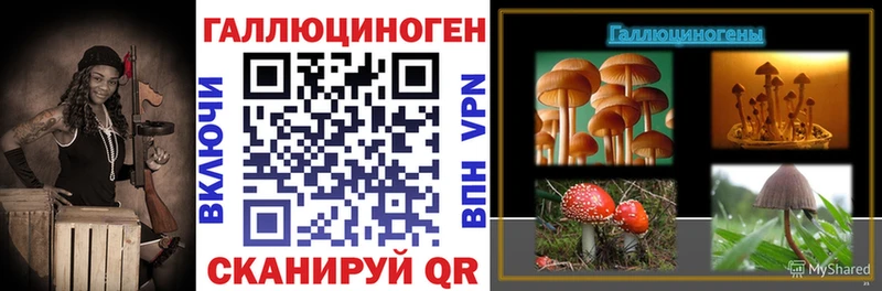 Галлюциногенные грибы Cubensis  Ува 